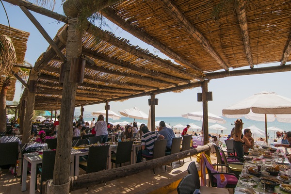 Edde Sands on Sunday